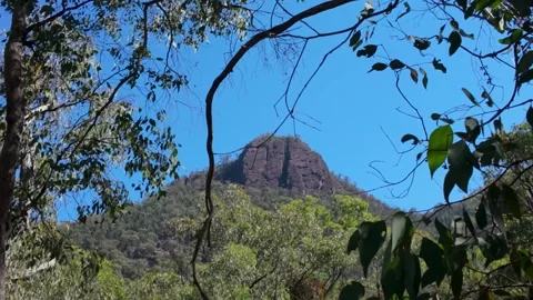 Looking Up a rock face through trees Vídeos de archivo 331898894