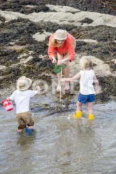 Looking in Rock Pools Stock Photos