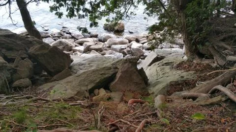 Looking at the rocks from the forest next to a lake Foto stock