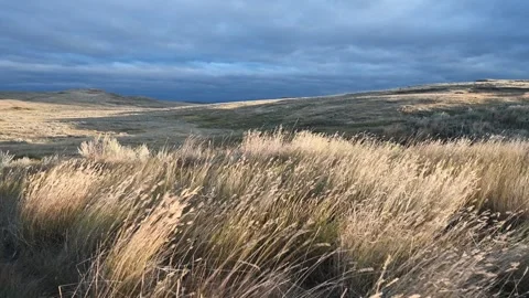 Looking at rolling hills under storm clouds with blowing autumn grass in the for Stock Footage 302207022