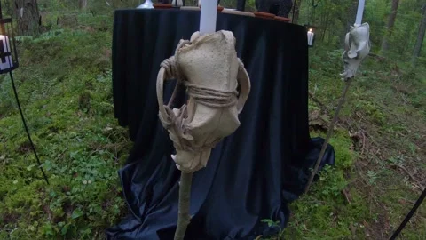 Looking at scary Satanic Ritual Table with Lit Candles in the woods 4k60fps Stock Footage 135833431