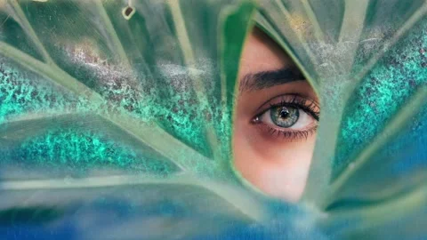 Looking sea through leaf video manipulation Stock Footage 132447690