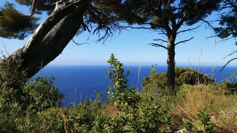 Looking at the sea from the top of the hill Stock Footage 161543670