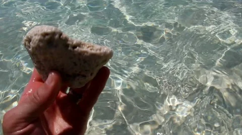 Looking for Seashells 스톡 동영상 12133534