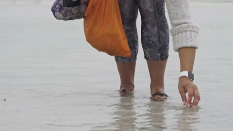 Looking for shells at the beach Stock Footage 148247032