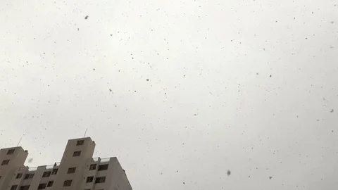 Looking up to the sky with falling snow at apartment in the city. Stock Footage 84649519