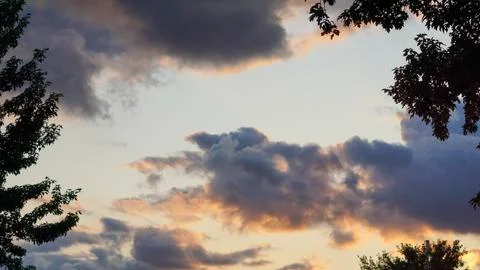 Looking at the sky from the ground with trees Stock Photos