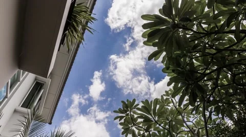 Looking Up in Sky With Moving Cloud, Time Lapse Stock Footage 51691985