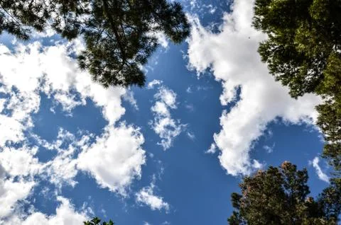 Looking at the sky Stock Photos