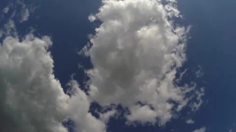 Looking up the sky in the rapeseed field. Slowly descending, enjoying the moment Video stock 140382045