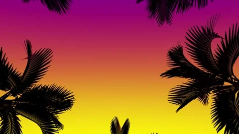 Looking up at the sky with spinning palm trees circling against a vintage 스톡 동영상 242513857