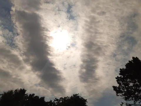 Looking up at the sky before the storm 4 Stock Photos