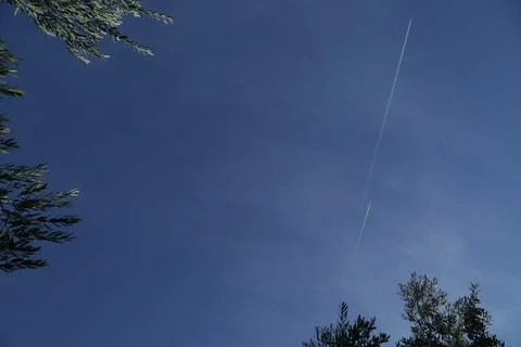 Looking at the sky through the trees Stock Photos