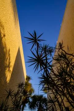 Looking skyward in a walkway between two buildings Stock Photos