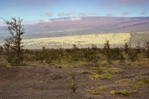Looking at the slopes of Mauna Loa Stock Photos