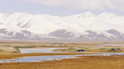 Looking at the snow-capped mountains in autumn Stock Footage 235107645
