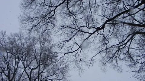 Looking up to the snowy sky Stock Footage 148387936