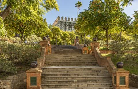 Looking up some steps towards a castle and orange trees Stock Photos