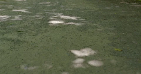 Looking for something on a gravel path / Walking in Slow motion Stock Footage 130908889