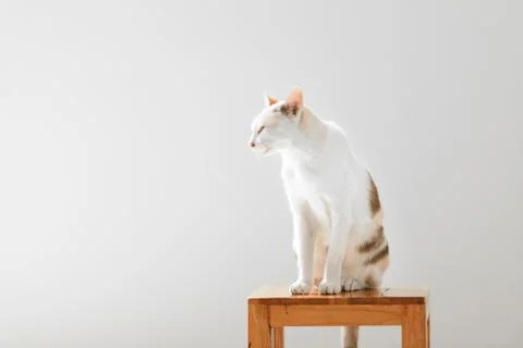 Looking something Stock Photos