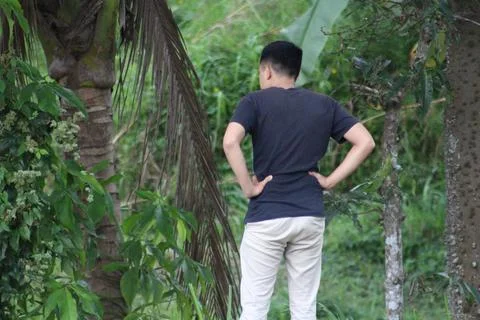 Looking for something 库存照片