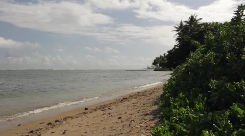 Looking south over the beach in Oahu as gentle waves lap at the shore Stock Footage 49910785
