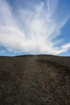 Looking up Sparse Hillside Trail 写真素材