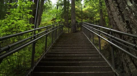 Looking Up Staircase In Forest, 4K Stock-Footage 43913801