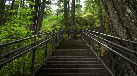 Looking Up Staircase In Forest Stock Footage 44019095