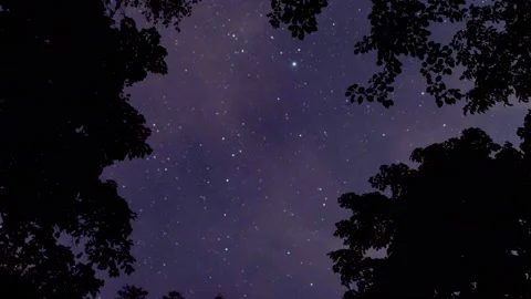 Looking up the Starry Sky at Night (Time Lapse/Tilt Up) Stock Footage 138142427