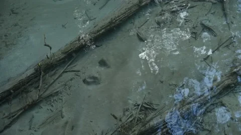 Looking straight down into a clear mountain stream with the bottom Stock Footage 138662788