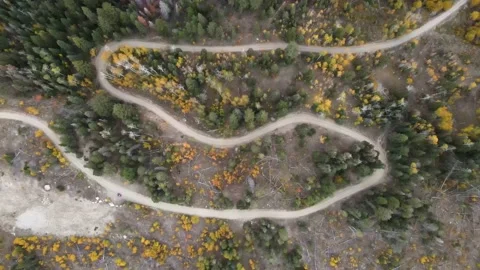 Looking straight down on S curved dirt road in the fall Stock Footage 162419271