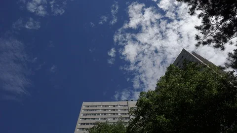 Looking straight up Stock Footage 91262915