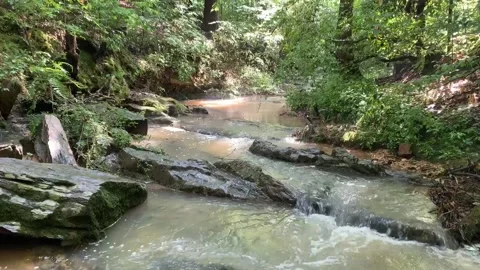 LOOKING UP STREAM AT WATER FLOWING AFTER A RAIN SHOWER AS SUN PEAKS THROUGH Vídeos de archivo 131336918