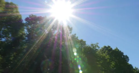 Looking Up at Sun Flare During Drive Tilting to Trees Highway, 4K Stock Footage 68457636