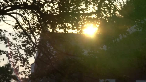 Looking at Sun Through Trees and Over Church with Lens Flares 库存影片 166815524
