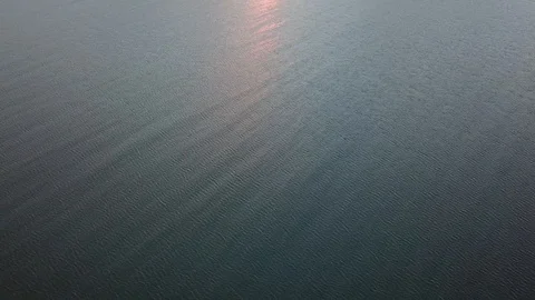 Looking up into a sunset 스톡 동영상 111653613