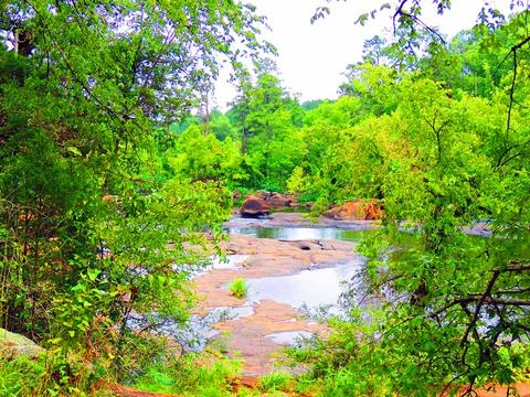 Looking though the trees Stock Photos