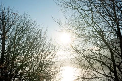 Looking through bare autumnal branches in silhouette to idyllic, bright sun Stock Photos