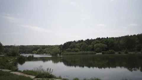 Looking Through Branches at a Lake Stock Footage 300490666