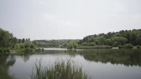 Looking Through Branches at a Lake Video stock 300490714