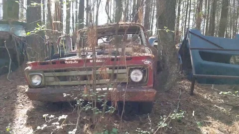 Looking through branches to old rundown red truck 4K Video stock 72312406