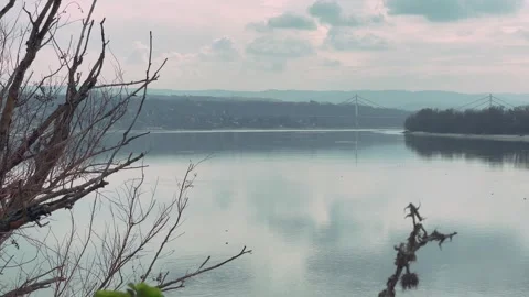 Looking through the branches at the river without waves Stock Footage 303163669