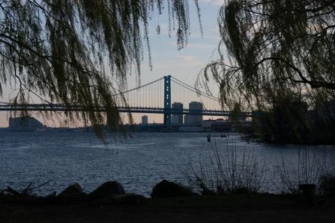 Looking Through Bright Green Trees at the Ben Franklin Bridge From the Penn T Stock Photos