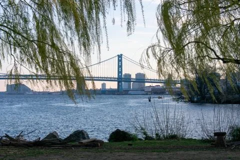 Looking Through Bright Green Trees at the Ben Franklin Bridge From the Newly  Stock Photos