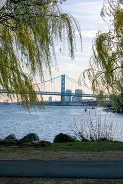 Looking Through Bright Green Trees at the Ben Franklin Bridge From the Penn T Stock Photos
