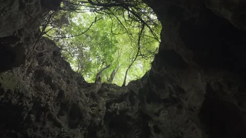 Looking Up Through Cave Opening to Trees 스톡 동영상 346288600