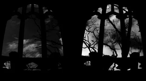 Looking through church windows at leafless tree with timelapse clouds 11 Stock Footage 953920