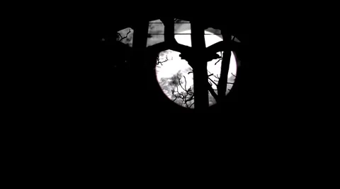 Looking through church windows at leafless tree with timelapse clouds 12 Stock Footage 953922