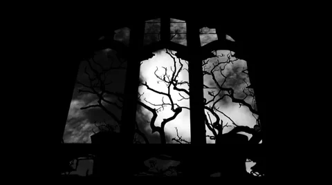 Looking through church windows at leafless tree with timelapse clouds 9 스톡 동영상 953928